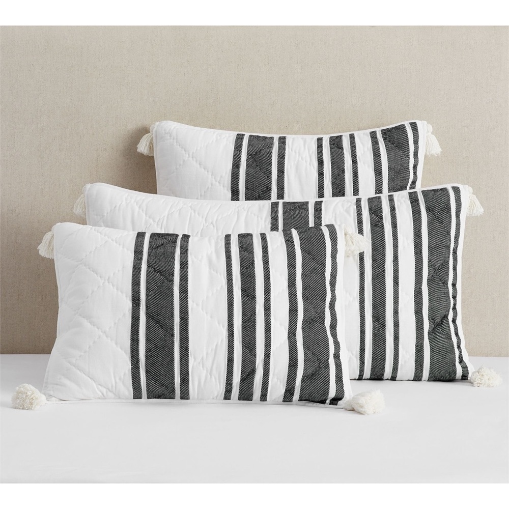 POTTERY BARN MESA TASSEL BLACK STRIPED SHAMS SET OF 2 KING - Picture 5 of 13
